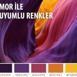 Mor ile uyumlu renkler dekorasyonda ve giyimde kıyafette.